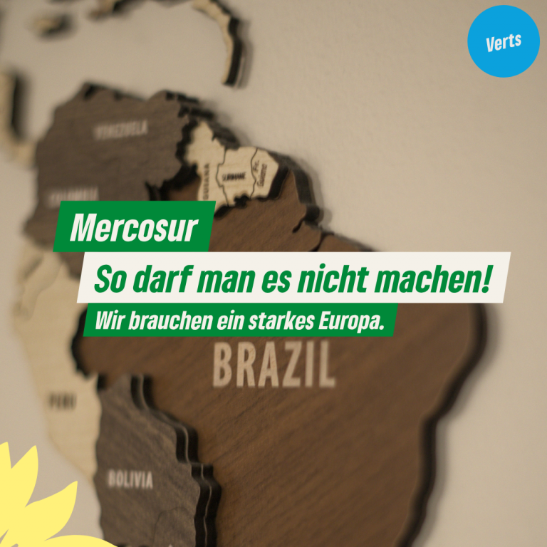 Statement der Vert-Realos zur Mercosur-Abstimmung im Europäischen Parlament